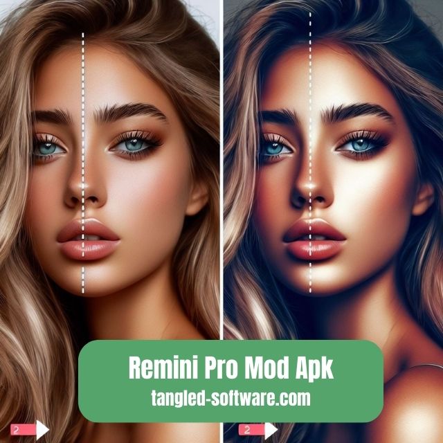 Remini Pro Mod Apk Unlimited Pro Cards